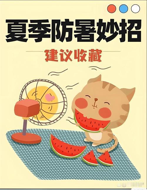 我发现：盛夏防暑记住5要点，安稳度过酷暑天
 
        夏天持续高温潮湿