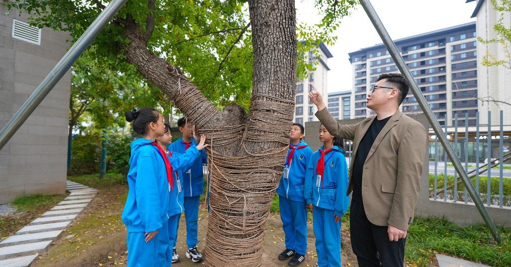 【在雄安，把“乡愁”种进校园里】在雄安，把“乡愁”种进校园里