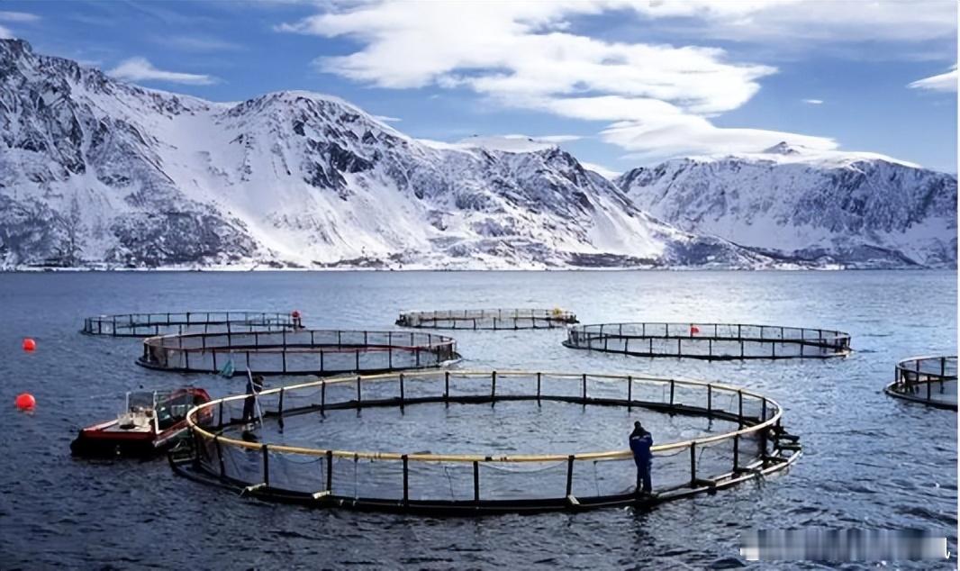 【财富晚茶-午间投资】港股闪崩：波及中国沪深普跌；电声股份：前期三顶轻松超越；沪