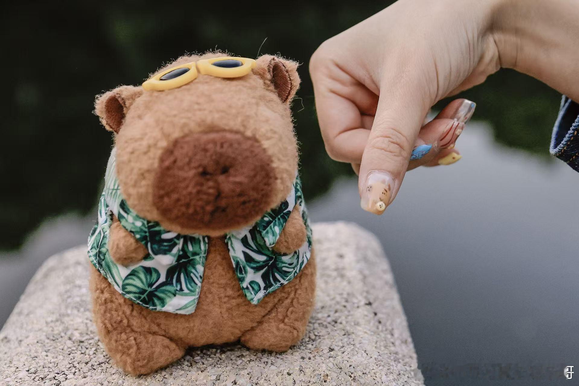 柱子哥是谁？一个在互联网上真实完整记录自己从28岁到35岁人生的普通人，关注肿瘤