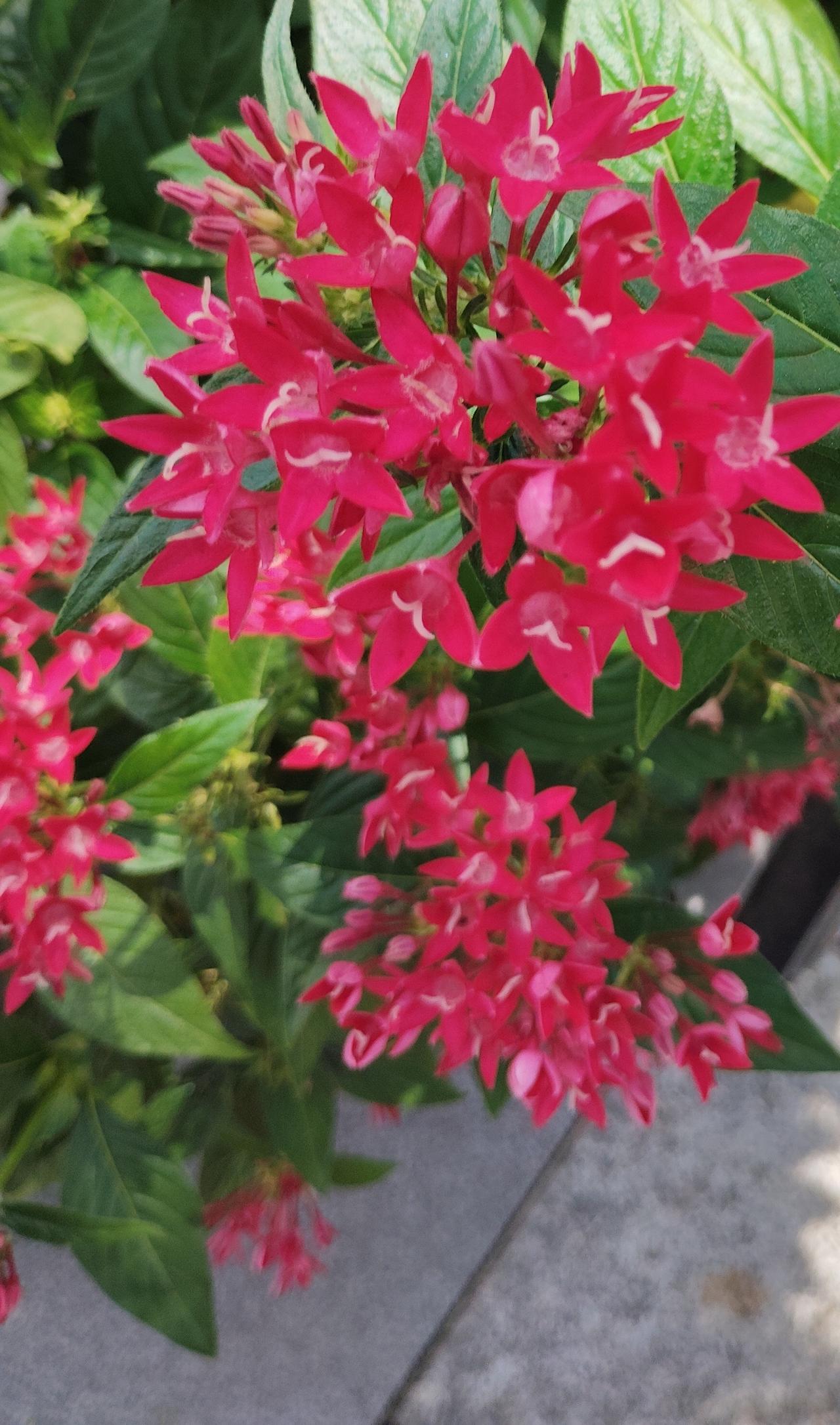 谢谢友师美评。您说的有道理。因为刀郎身上有咱老百姓认的东西。