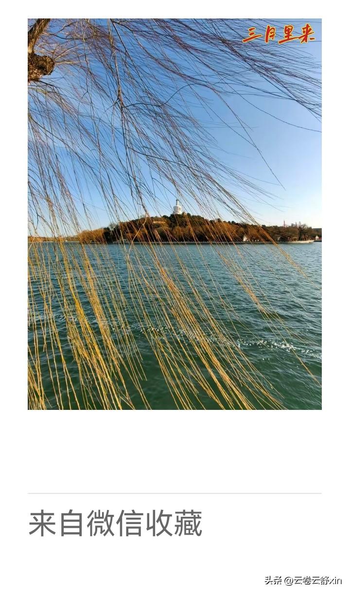 《老乐美拍.北海春望》

柳绽拂清波，
塔光映碧河。
风吹三月暖，
琼岛景如歌。