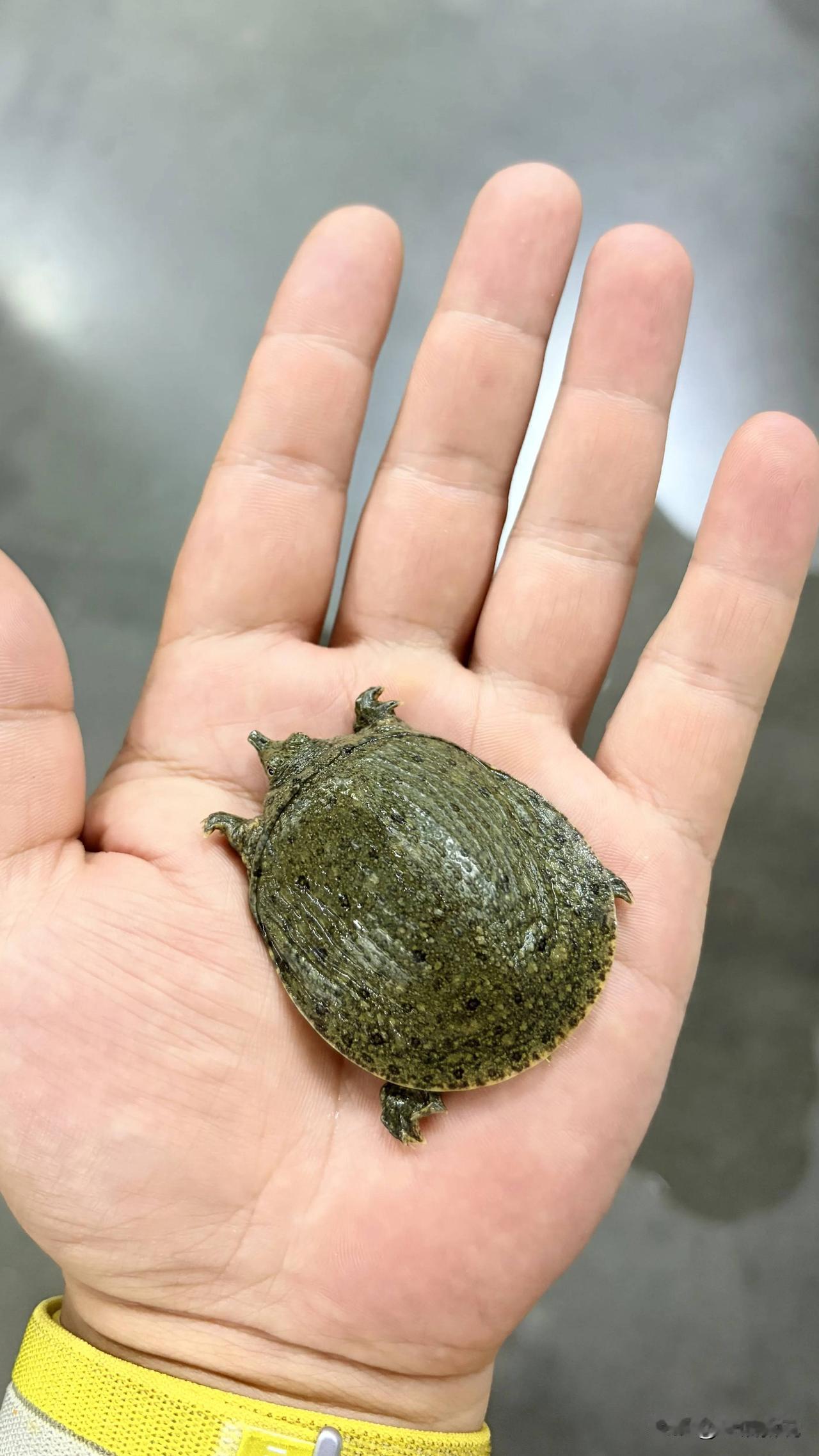 好运的定义是什么？运气通常发生在有活力的地方。