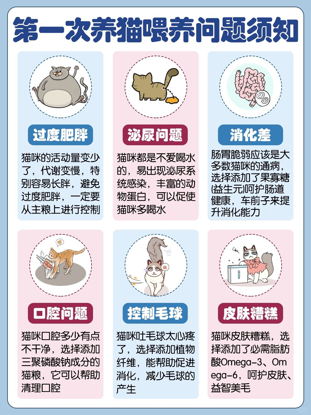 第①次养猫注意事项！宠猫不踩雷~