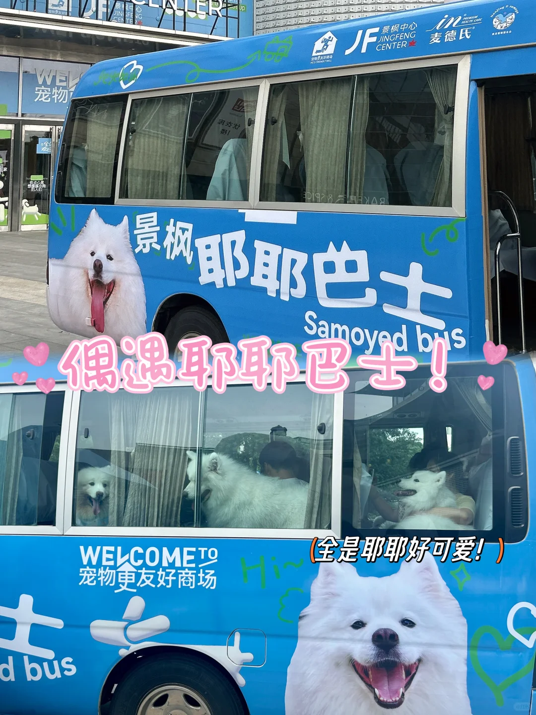 南京偶遇耶耶巴士，太可爱了！
