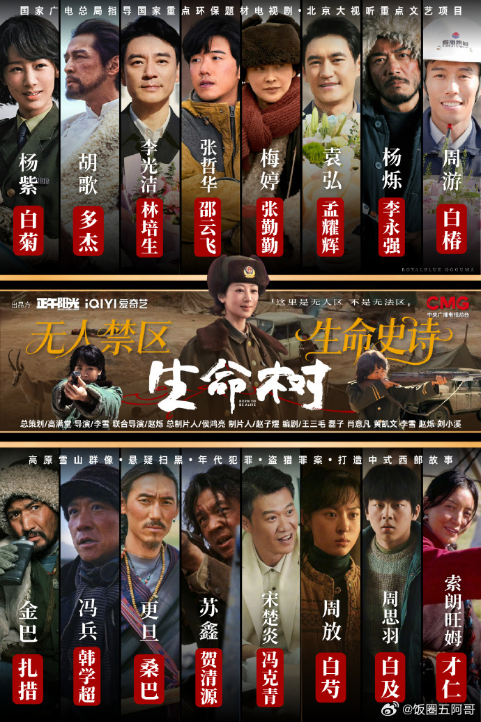 杨紫粉丝的海报，你根本分不清楚是粉丝做的还是剧方做的