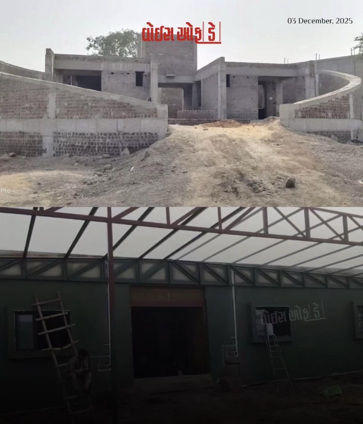 印度古吉拉特邦拉杰果德为狮子们建立的。庇护所即将完成。在今年四月有四只...