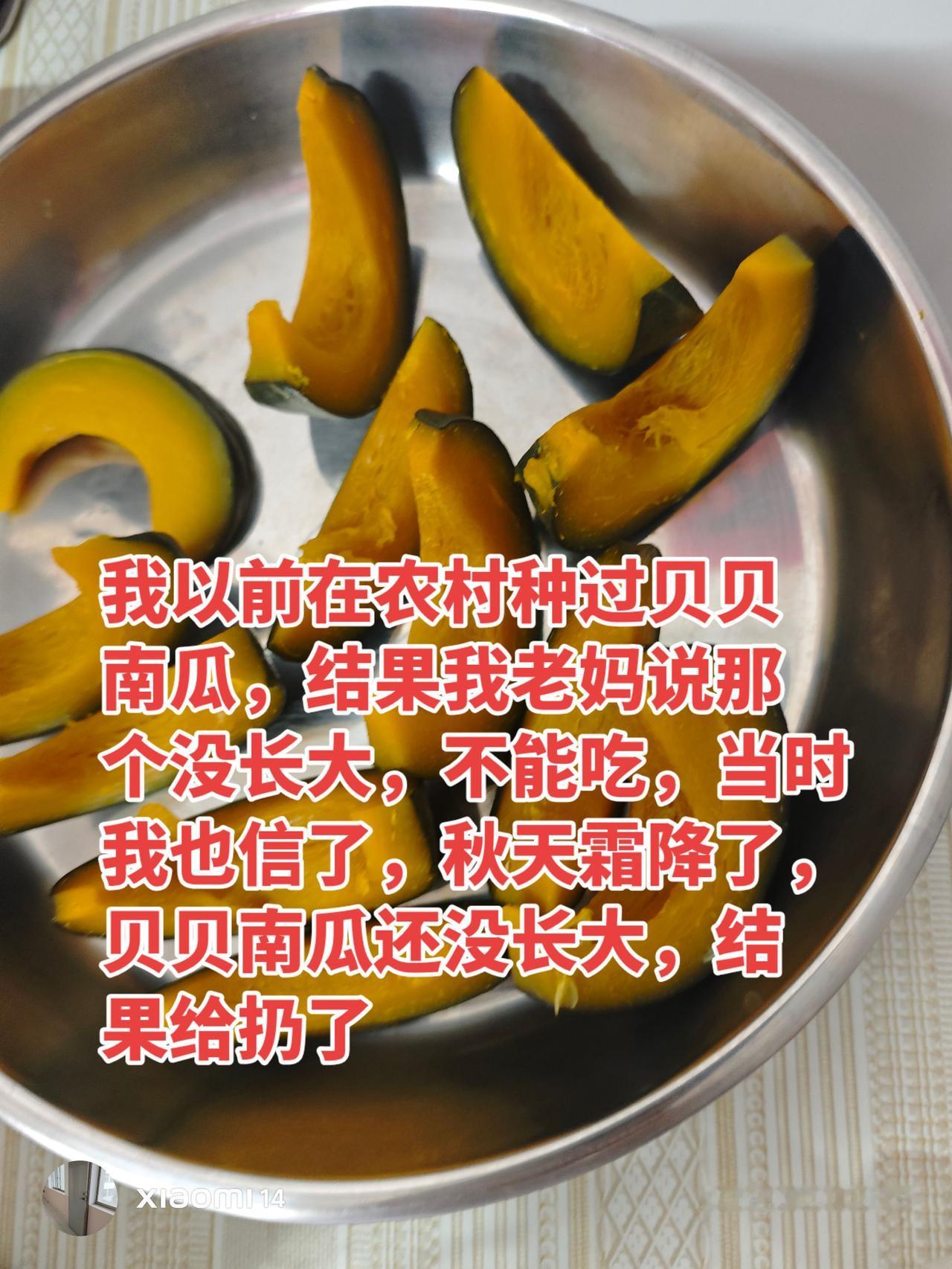 以前家里地里像这种这么小的南瓜，都是不要的，都是扔了的。南瓜