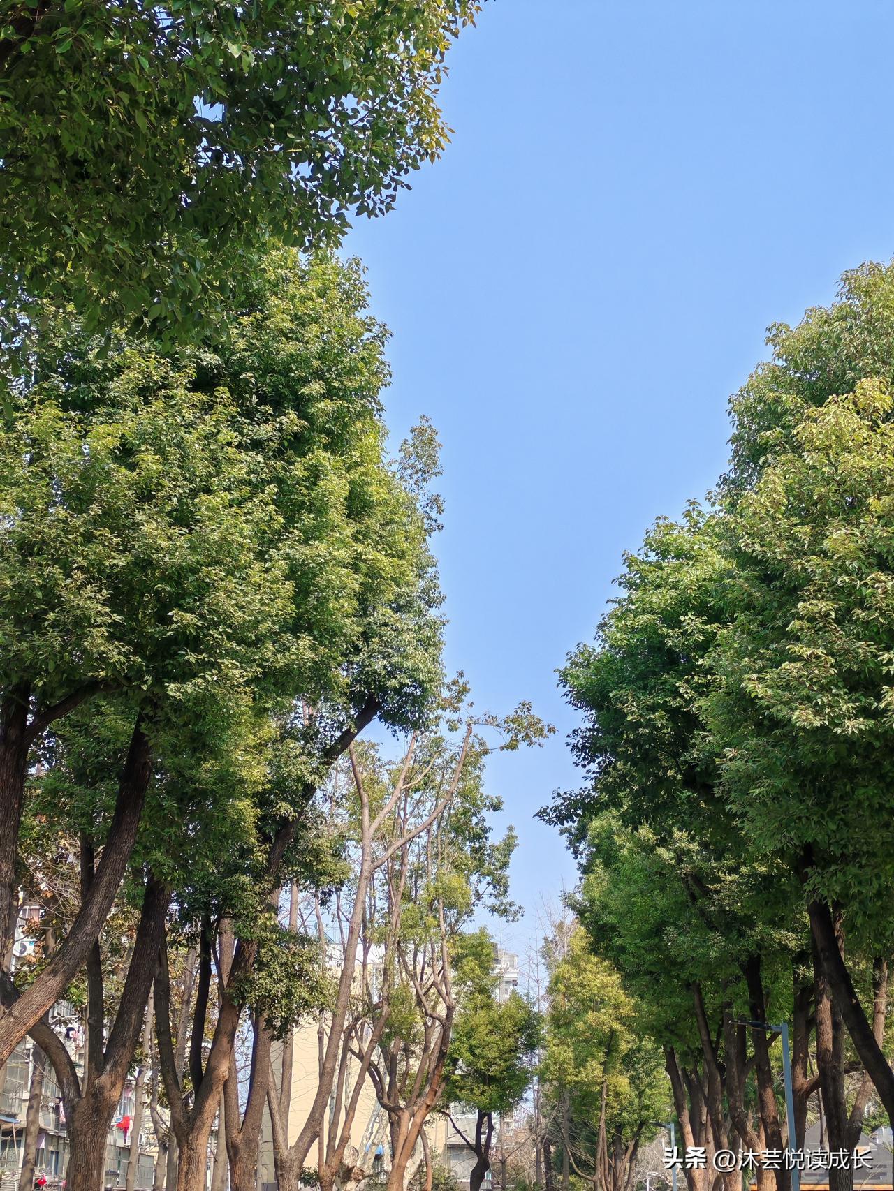 人到这个年纪，终于懂了：日子没什么标准答案，舒服才是第一要义。
不再追着别人的期