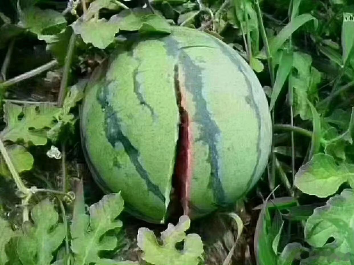 成熟的表现就是想开了！ 