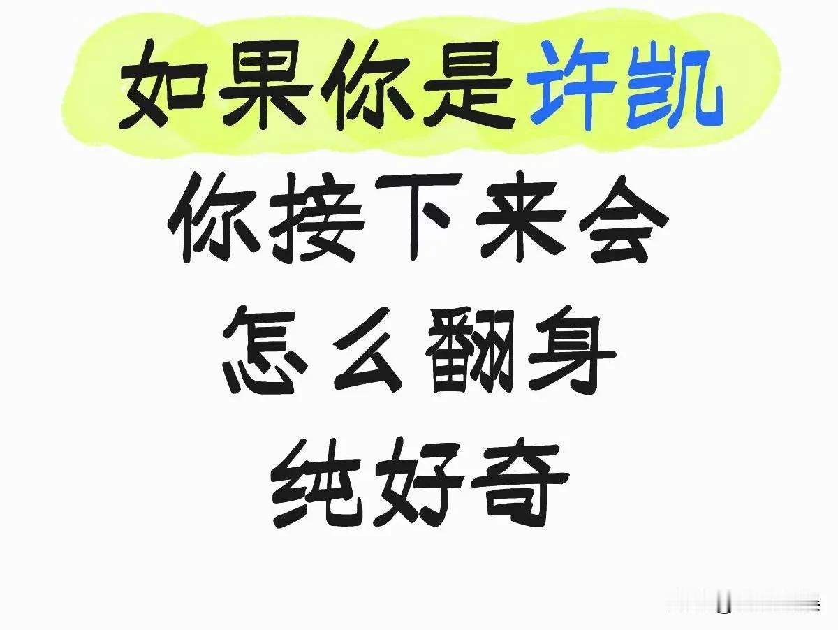 粉丝问我许凯接下来会怎么翻身？

其实，许凯就没有塌方，不存在翻什么什么时候翻身