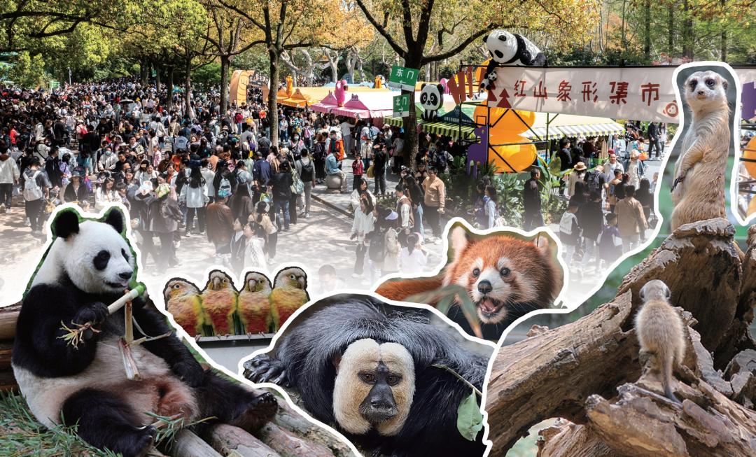 新刊速递｜2025年11月《时代邮刊》（新中年）来了！