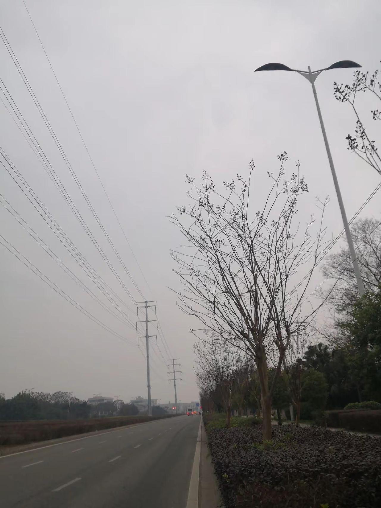 乡村生活 我的乡村生活 乡村生活日常 乡间小路自然风景 我的乡村生活