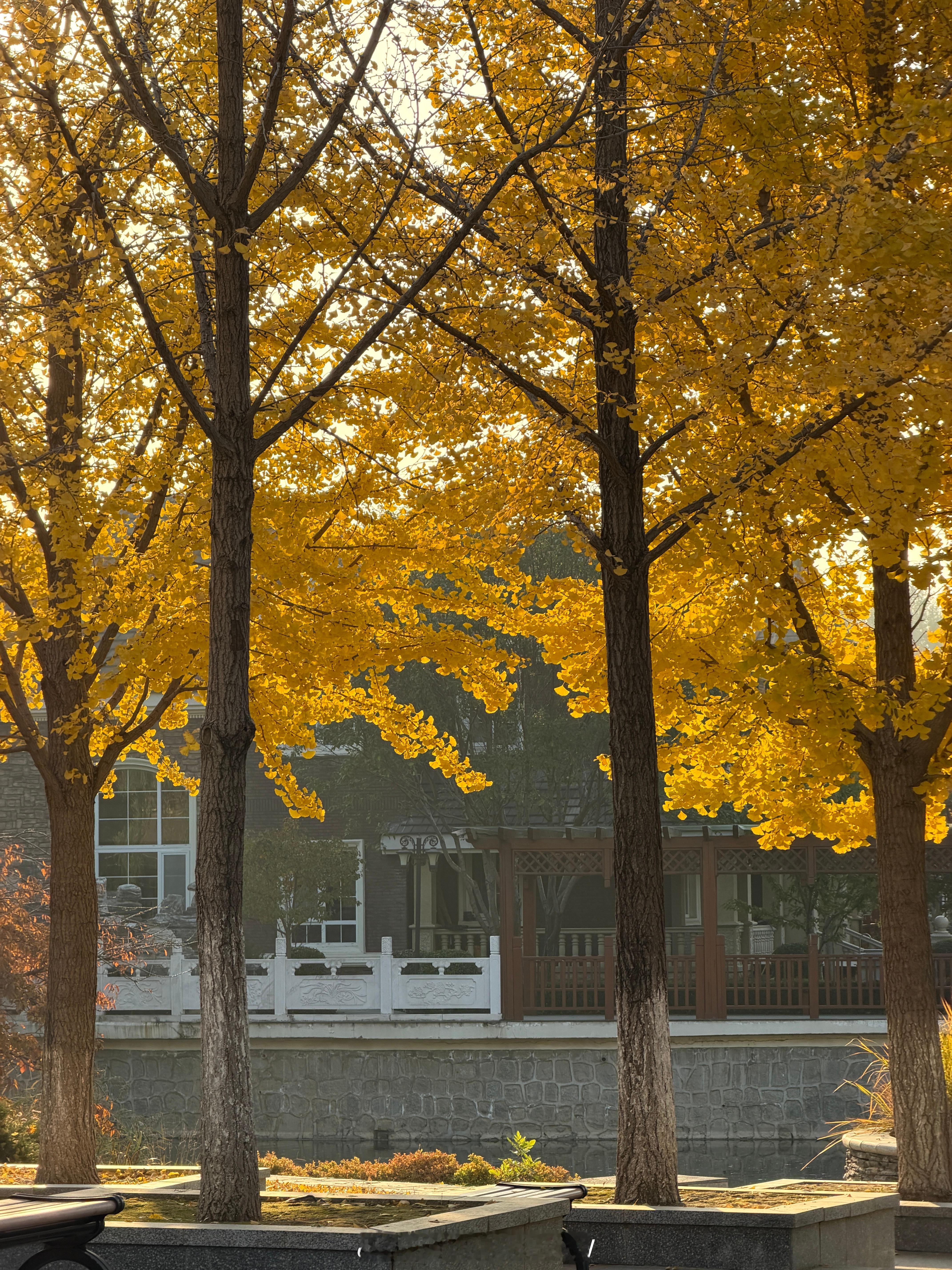 2026春节放9天假 感觉过年假期长没啥意义，除了陪家人几天，其实也没啥时间出去