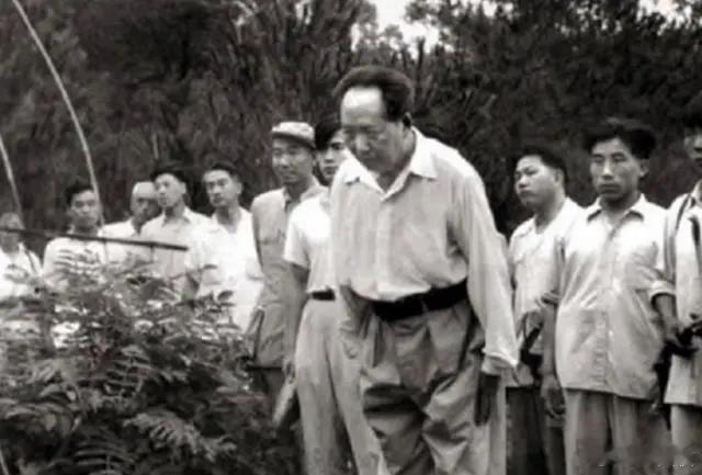 《七律·到韶山》别梦依稀咒逝川，故园三十二年前。红旗卷起农奴戟，黑手高悬霸主鞭。