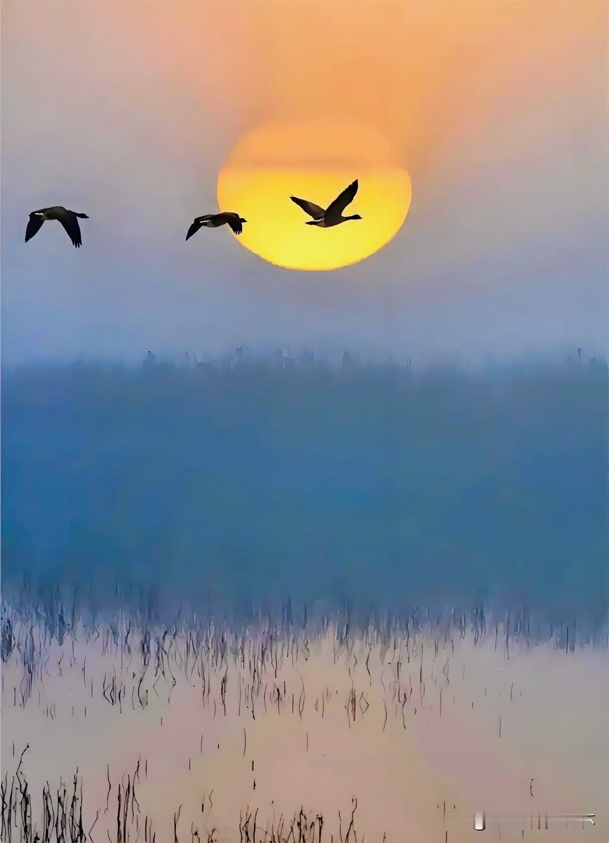 下联：天边归雁啼秋烟
上联：有请雅士[玫瑰][玫瑰][玫瑰]