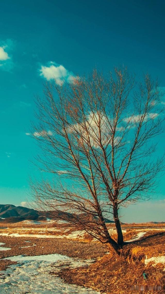 人生像一只皮箱，需要用的时候提起，不用的时候就把它放下。应放下的时候，却不放下，