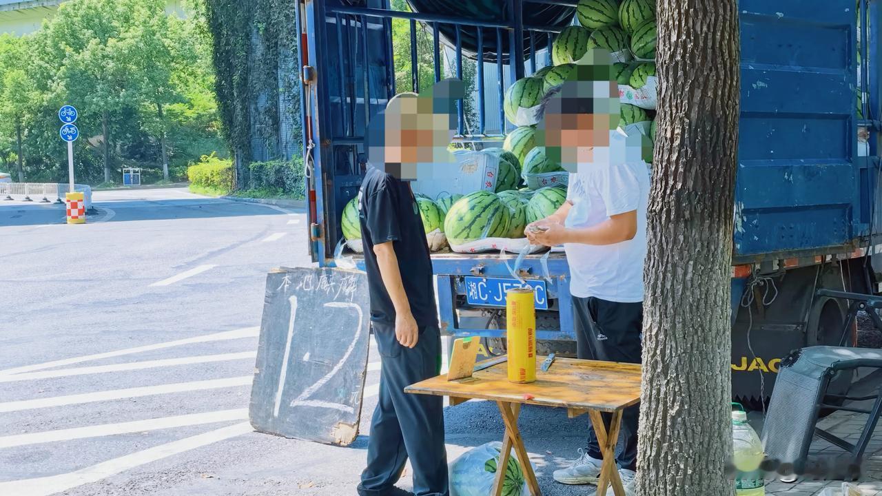 株洲田心立交桥下的西瓜便宜得不敢买，每斤只要1.2元。

西瓜在这个夏天是最好消