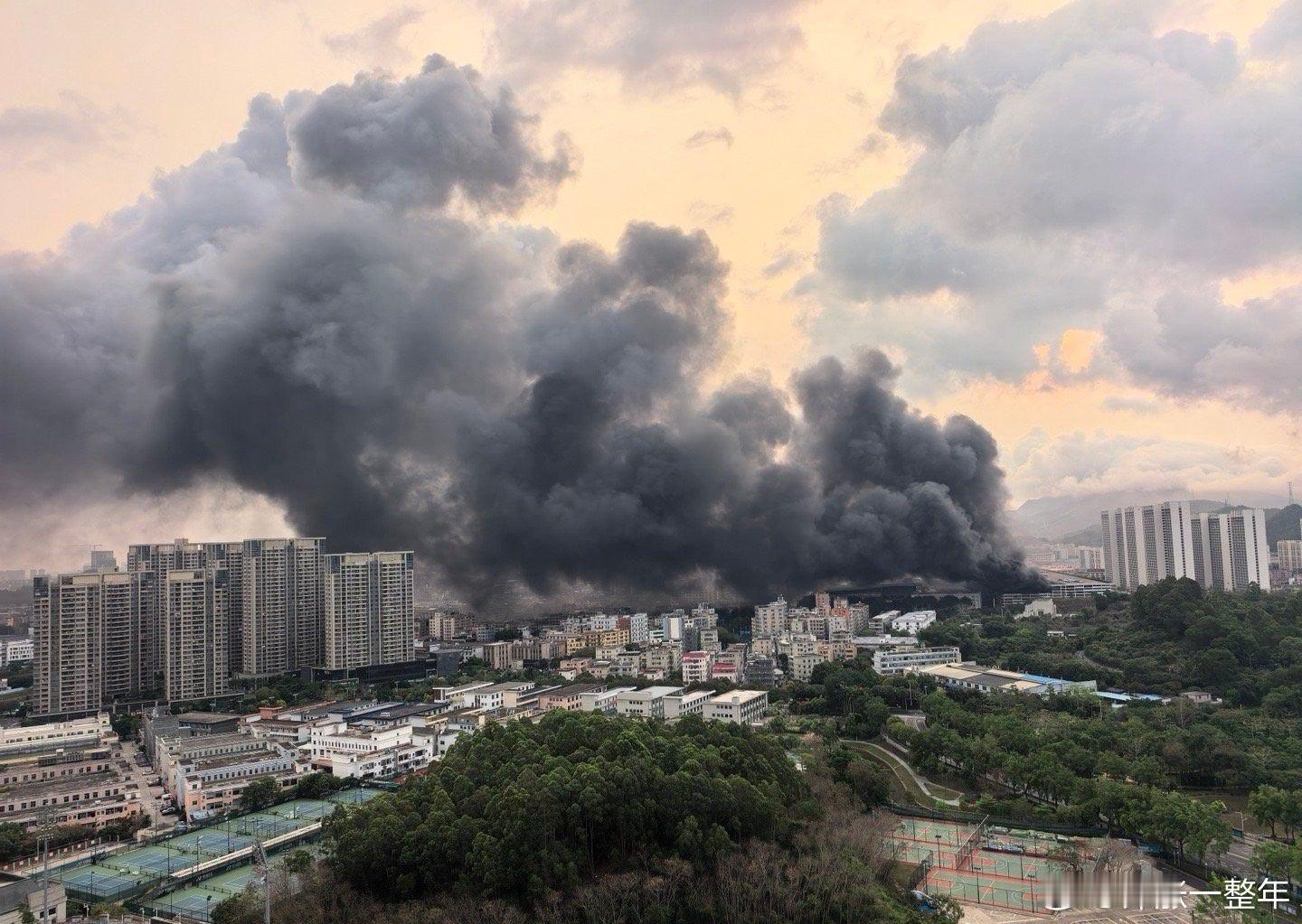 比亚迪公司起火 昨天看到比亚迪千万级年薪高管新闻，今天这又起火了。愿平安