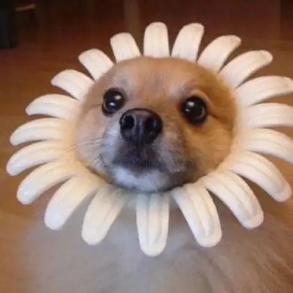 #闲鱼为10块钱成交发布喜报#  实在是太谦逊了，感觉你成长的还是不错的。就是有