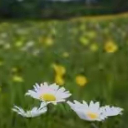 青春乃⼼境，⽽⾮年华；青春⾮现于桃⾯朱唇之艳，灵活矫健之躯，⽽现于志⼠之⽓，遐想