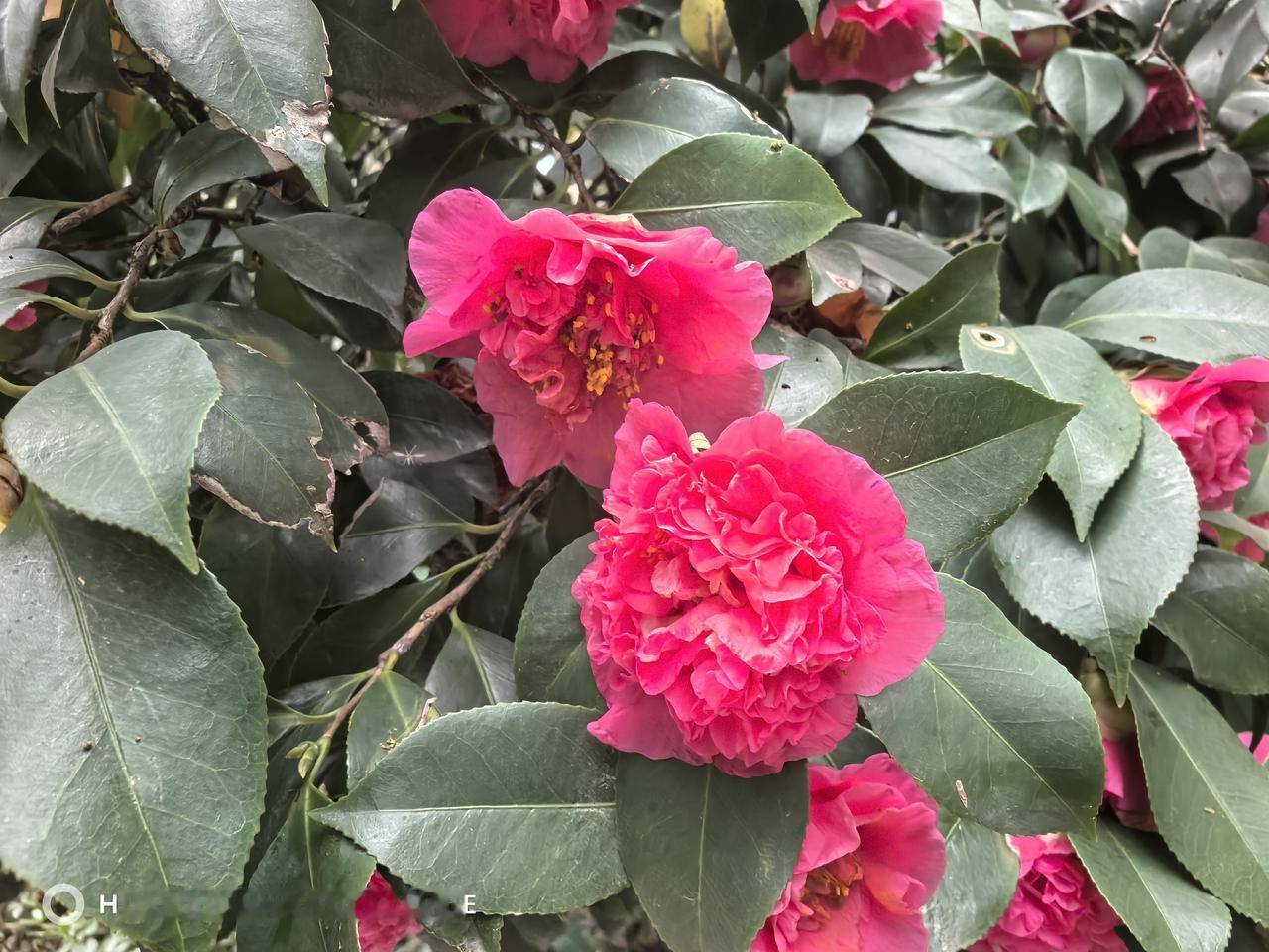 我现在每天坚持做的事就是好好吃饭。别小瞧这事儿，现在好多人吃饭可没个正形，要么不