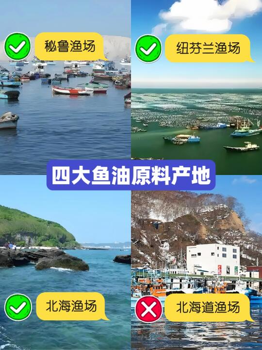 盘点世界四大鱼油原料产地