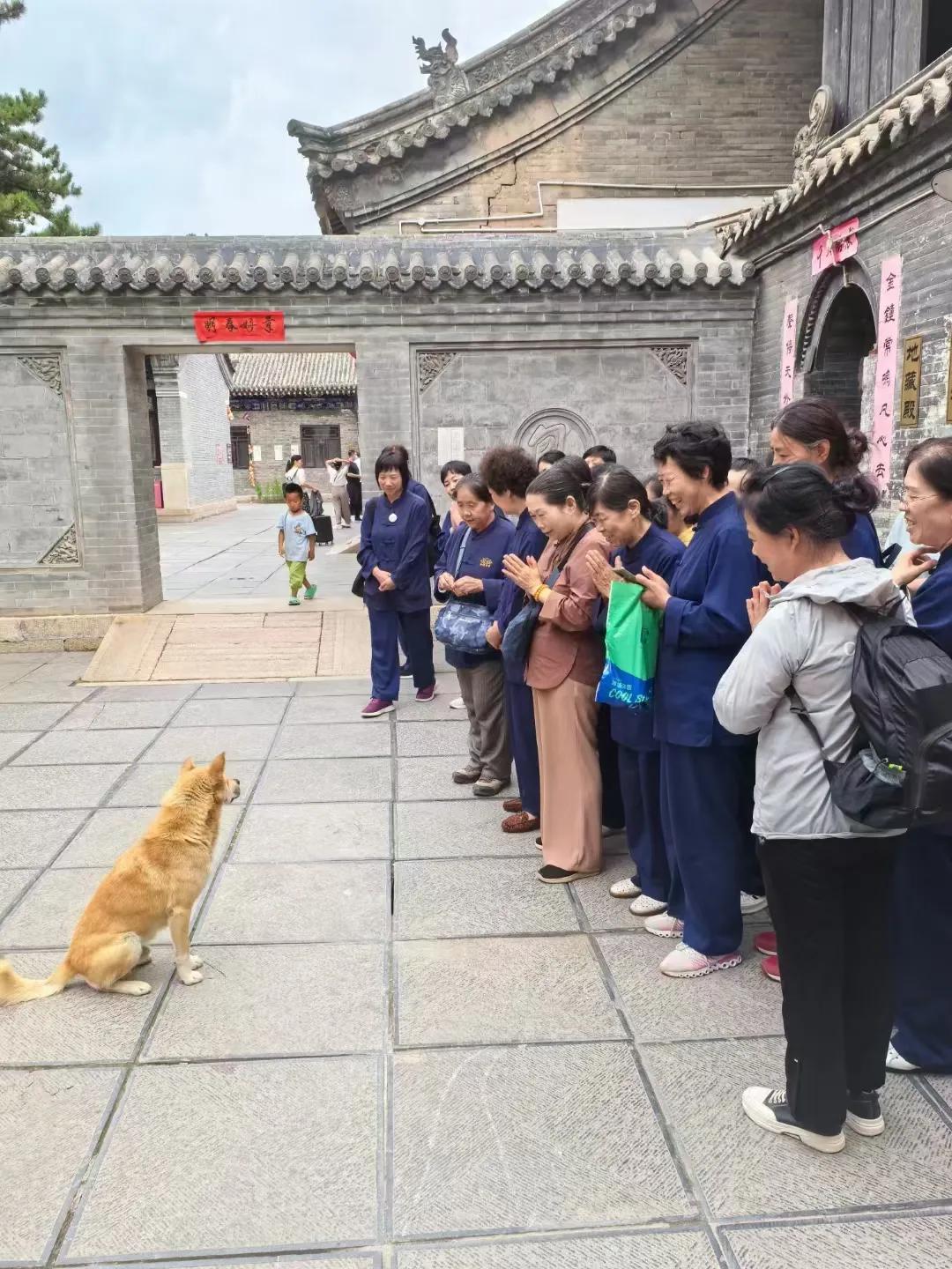 都站好给你们开个会[偷笑][偷笑][偷笑]