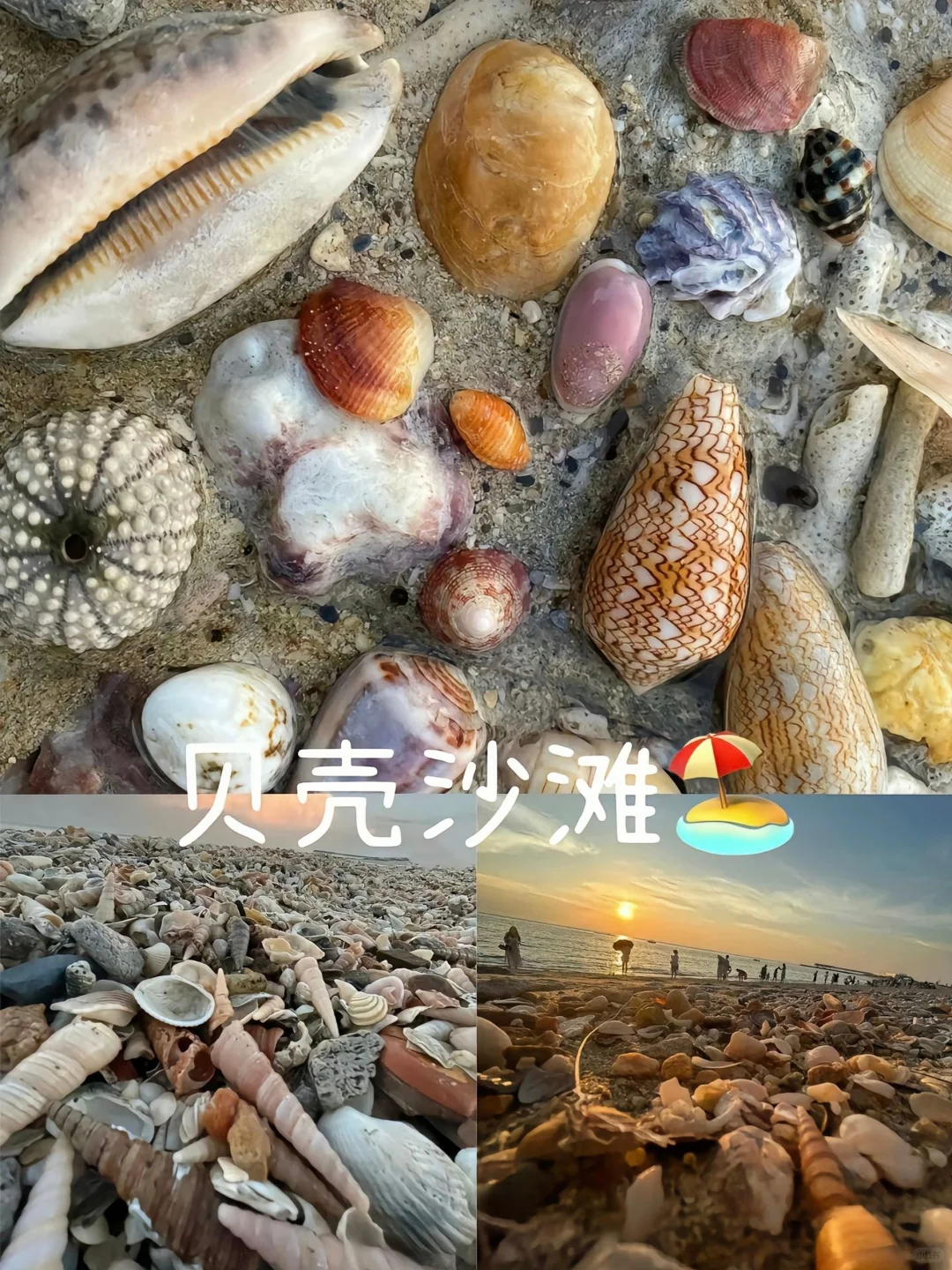 北海4天3晚，9-11月懒人版完整行程景点攻略