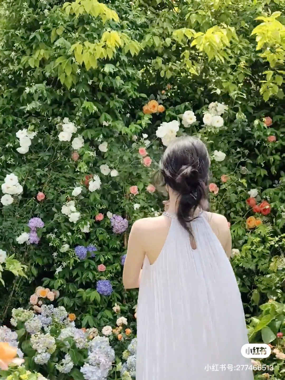 卢昱晓  🌷卢昱晓五福临门🌷卢昱晓康宁“你与明月都好看，皆是人间浪漫” 