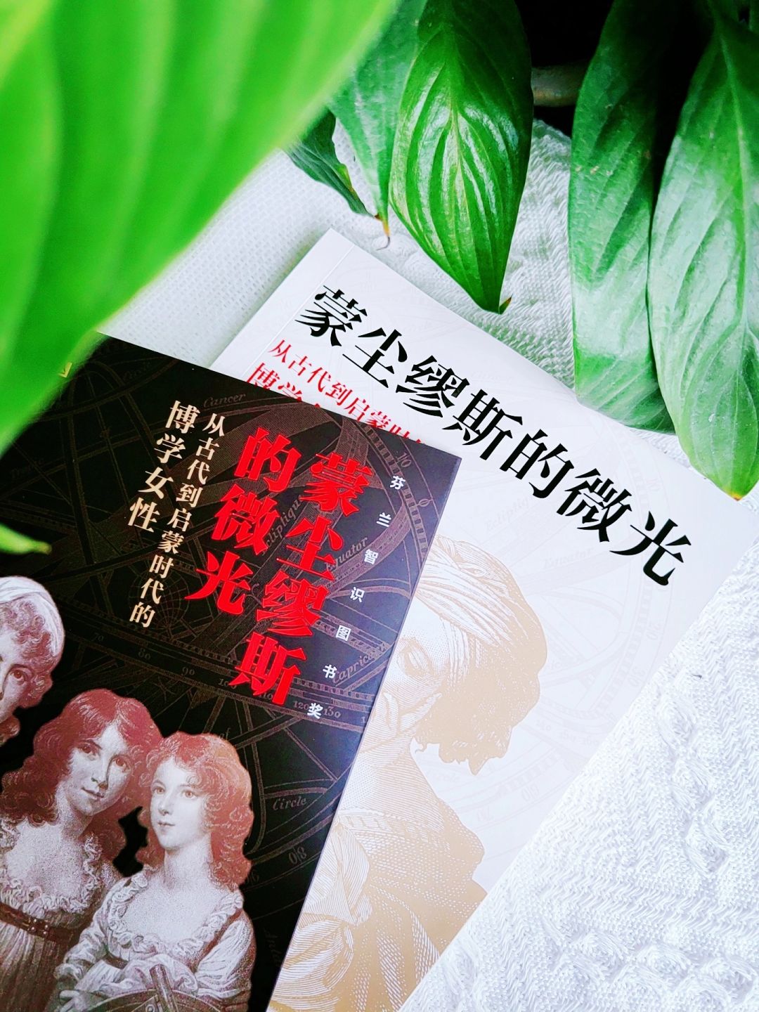 为什么古代看不到女科学家？