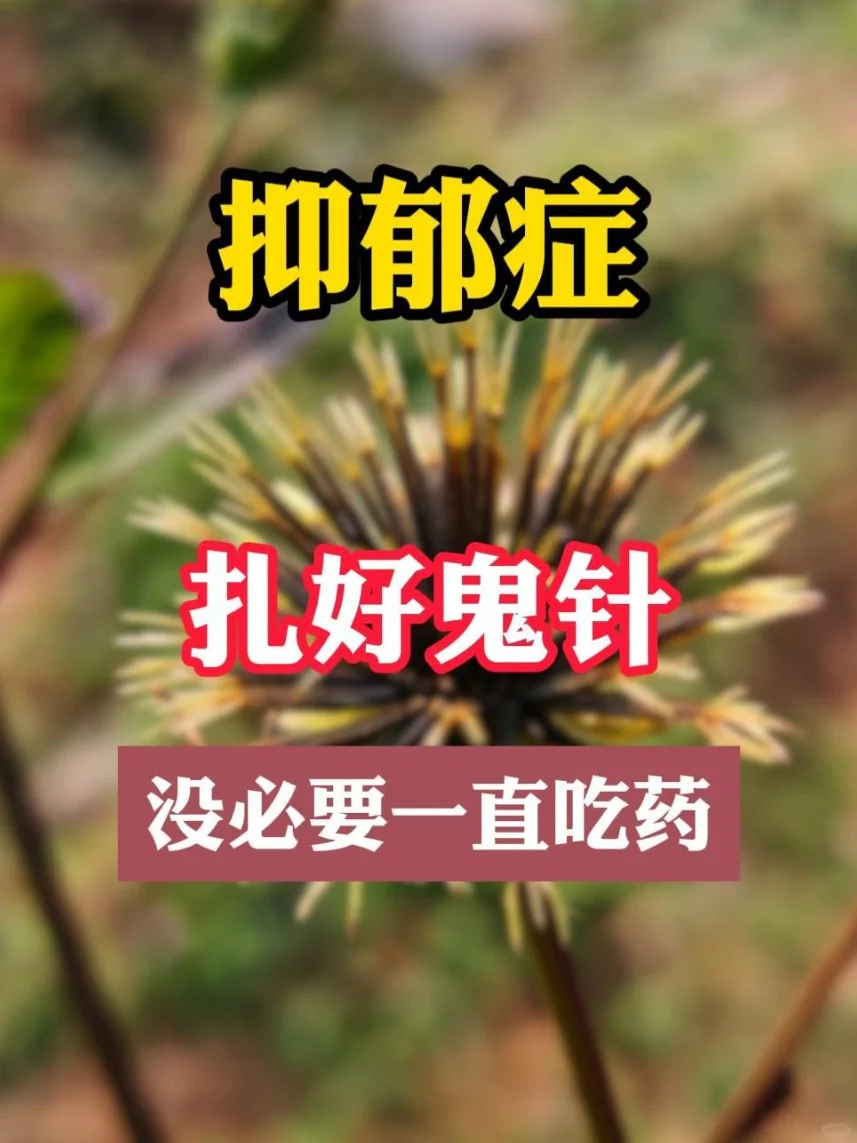 抑郁症扎好鬼针 没必要一直吃药