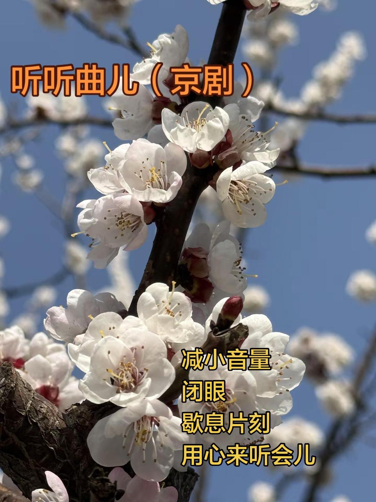 继续听戏。喜欢的收藏吧，不然找不到