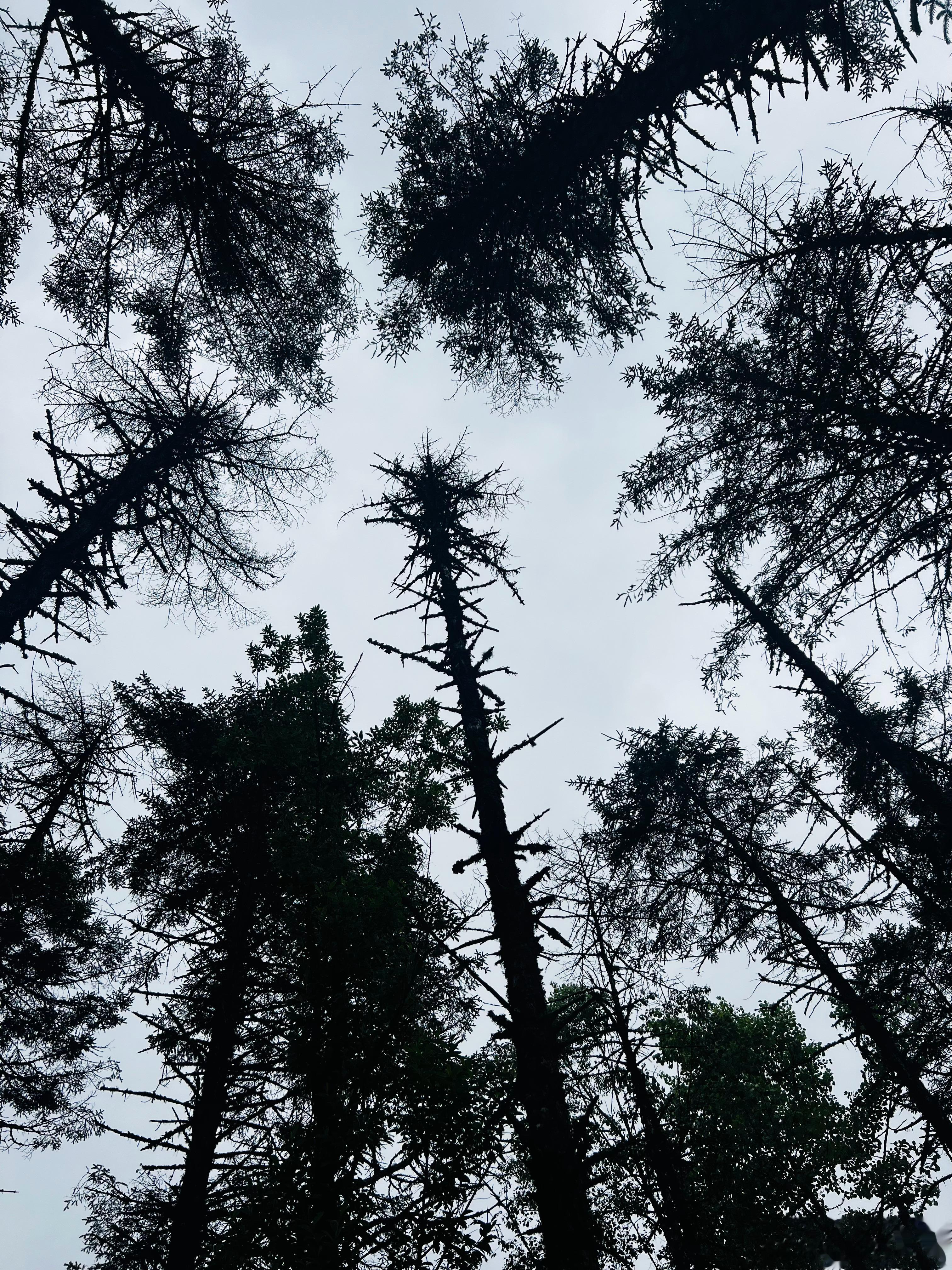 每次从西昌方向回成都都会路过孟获，有好几次都想高速下道去玩一玩。每次在高速就能看