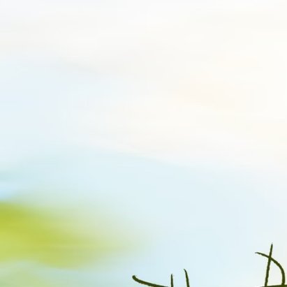 每日一善 🦋 阳光信用 🦋 每日一善 【☀️极好784｜橙V】ε(*･ω･)