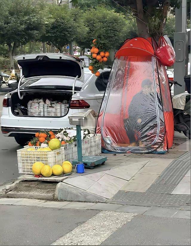 做生意的人脑子就是好用 