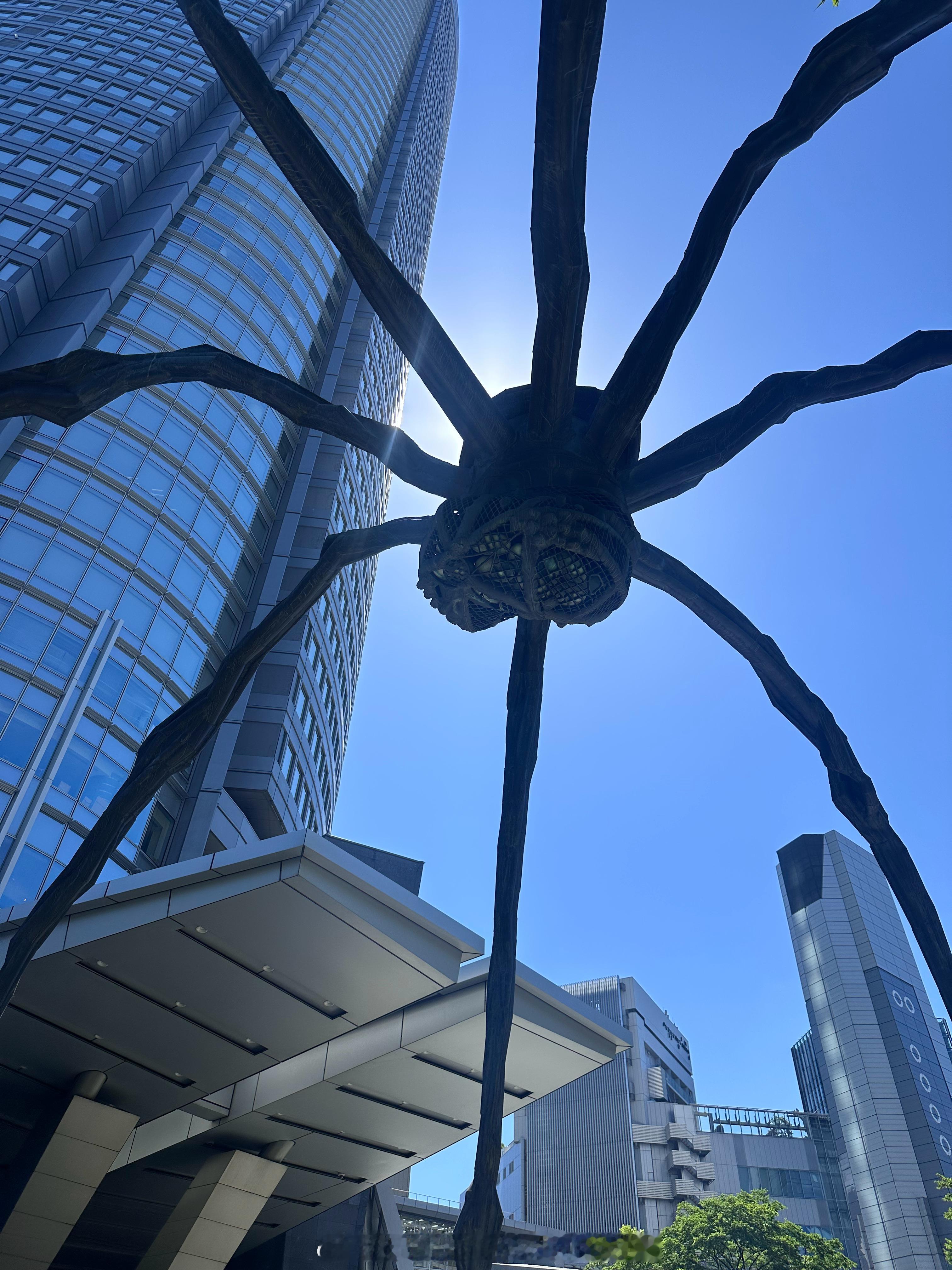 救我！被大蜘蛛捕获了！！！！！ 