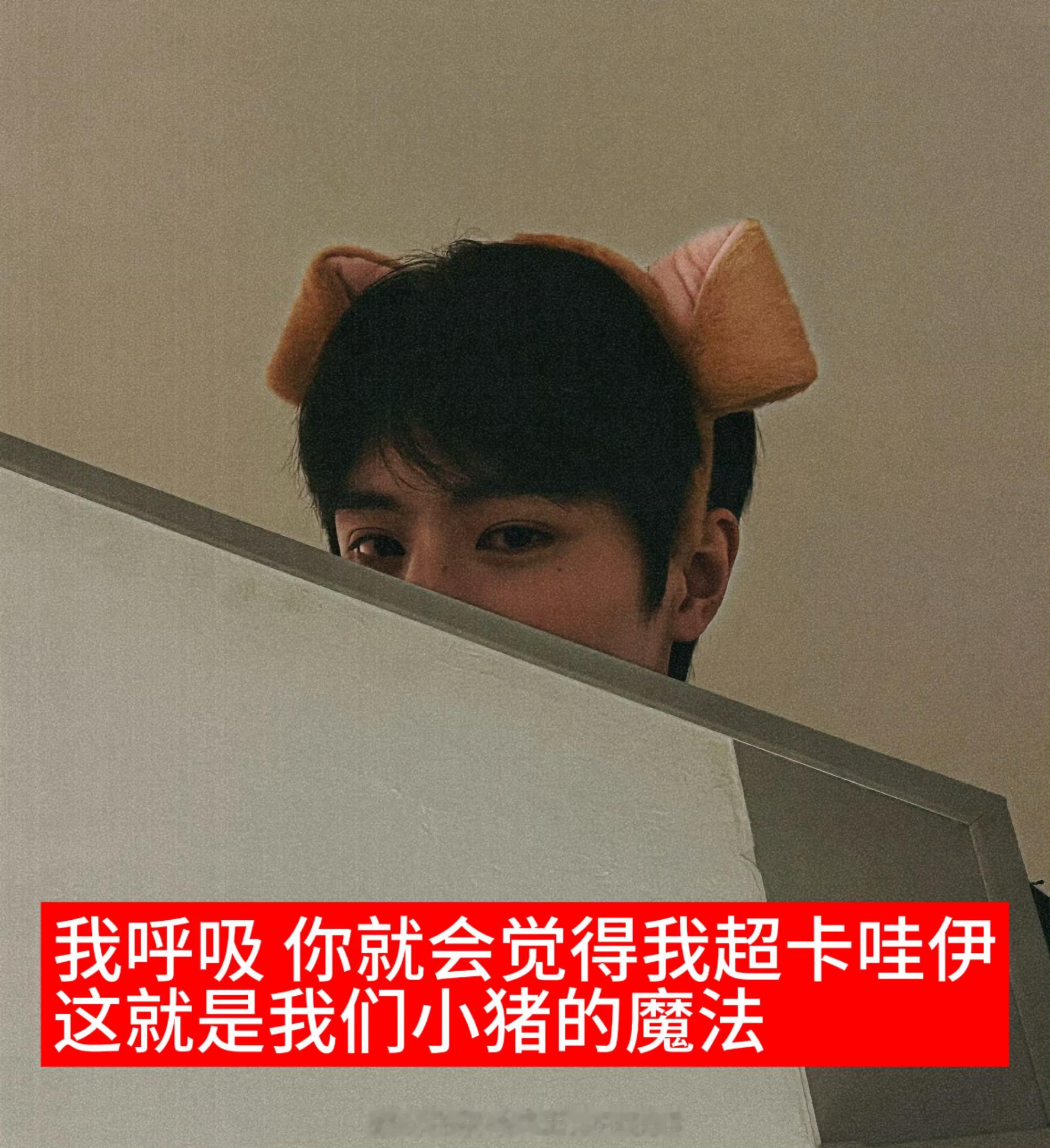 分享图片 