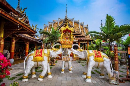 刚从西双版纳回来，总结了16点肺腑之言，句句是真实感受
1.不要随意轻信别人推荐