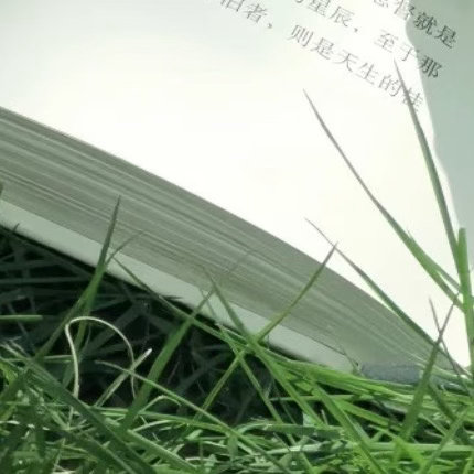 0000当深山幽谷中，一竿翠竹从岩缝间探出头颅。它的根系在贫瘠中蜿蜒百米，茎秆以