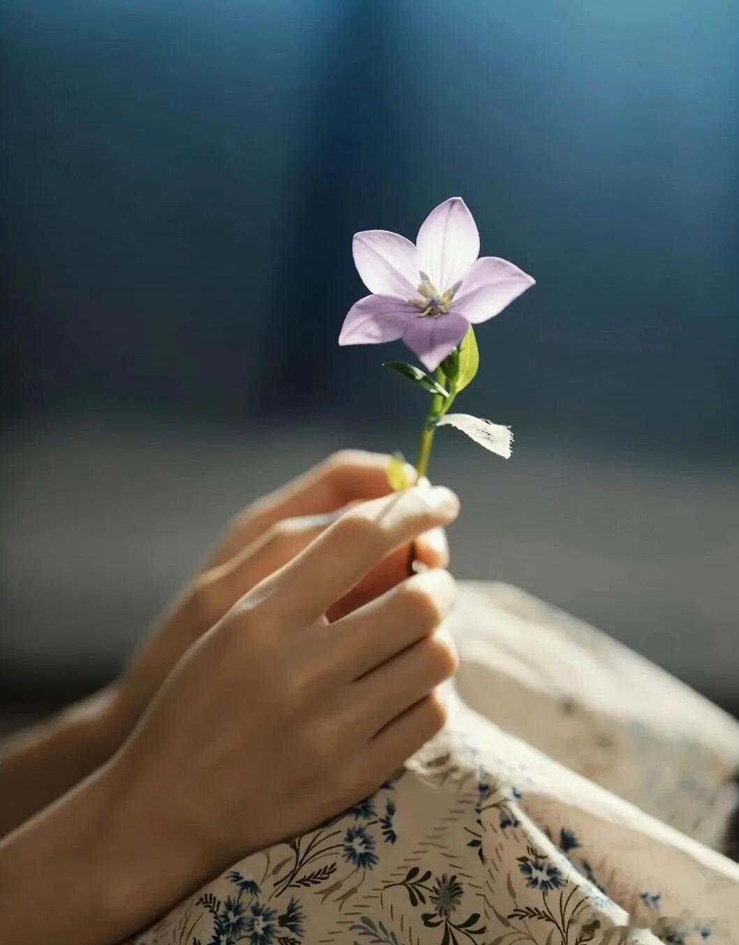 洋洋高锐·花～裙◎幽梦不等于成功其实……女人爱幽梦男人懂成功◎芳心有时会出格其实