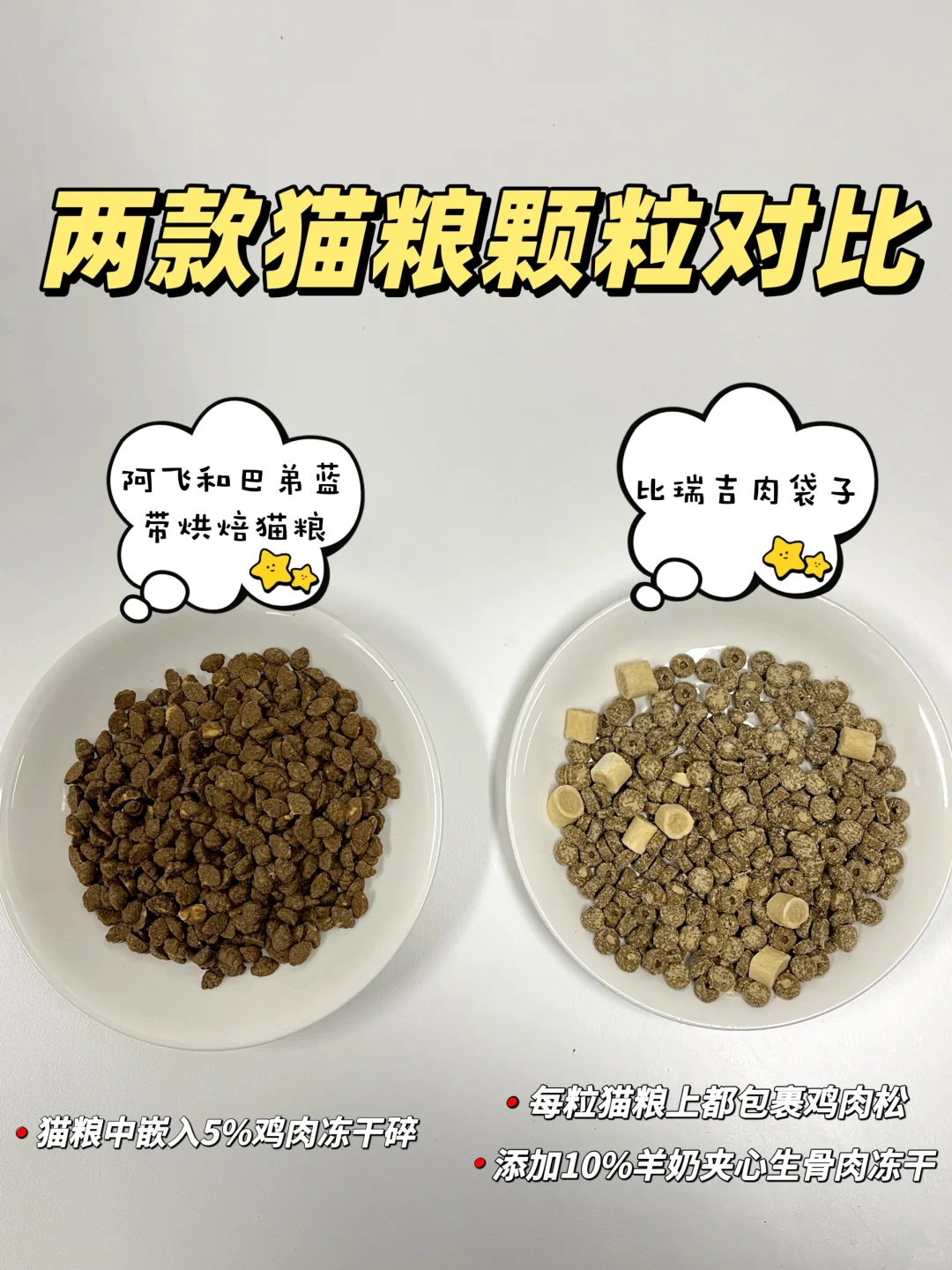 弟？挑食小猫看过来