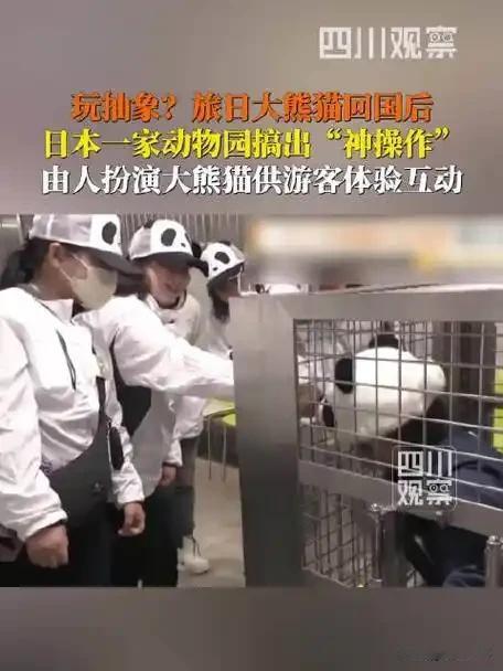 根据协议，日本和歌山县的冒险世界游乐园所饲养的大熊猫已于今年6月返回中国，这让众
