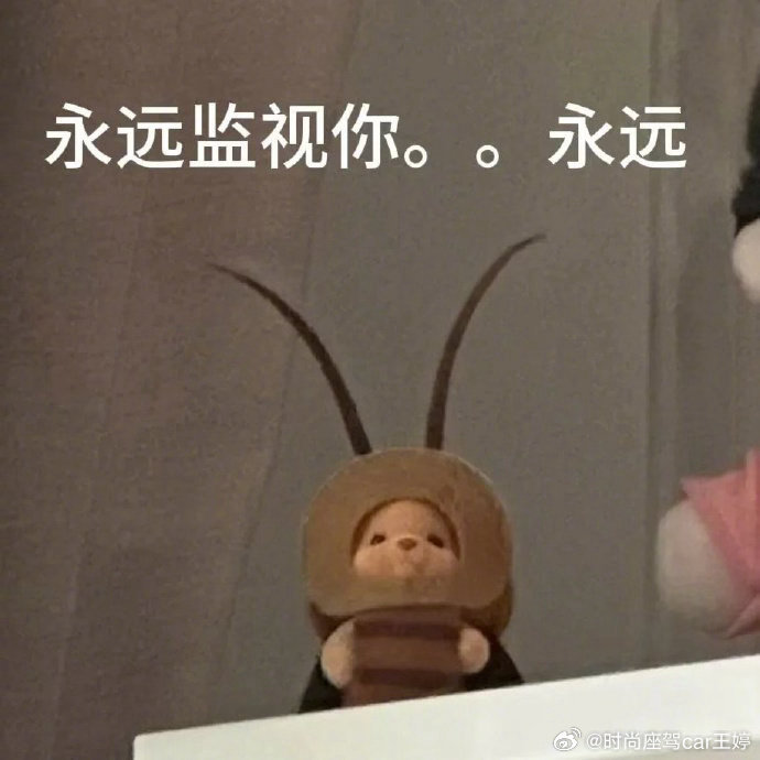 广东暴雨天蟑螂成群出动广东的朋友们真的吗？是不是集中发生在某些地方，绝大部分地区