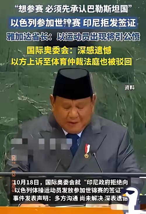 好人有好报”
2014 年，黑龙江五常张先生，在山上救了两只受伤白狐，伤愈后的白