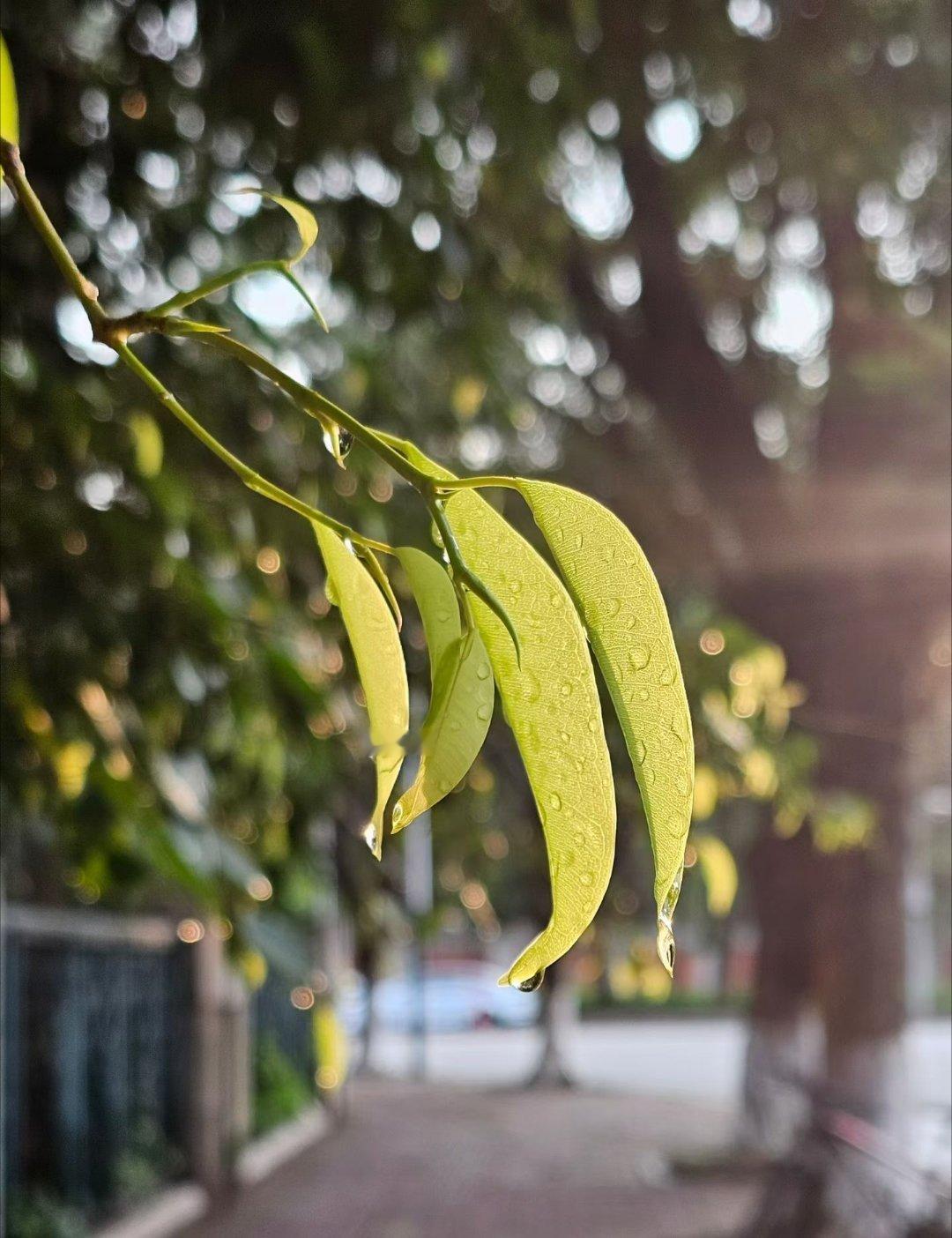 晚安好梦，生活点点滴滴，快乐漫无边际，没有诗和远方的日子，那就慢慢享受人间。