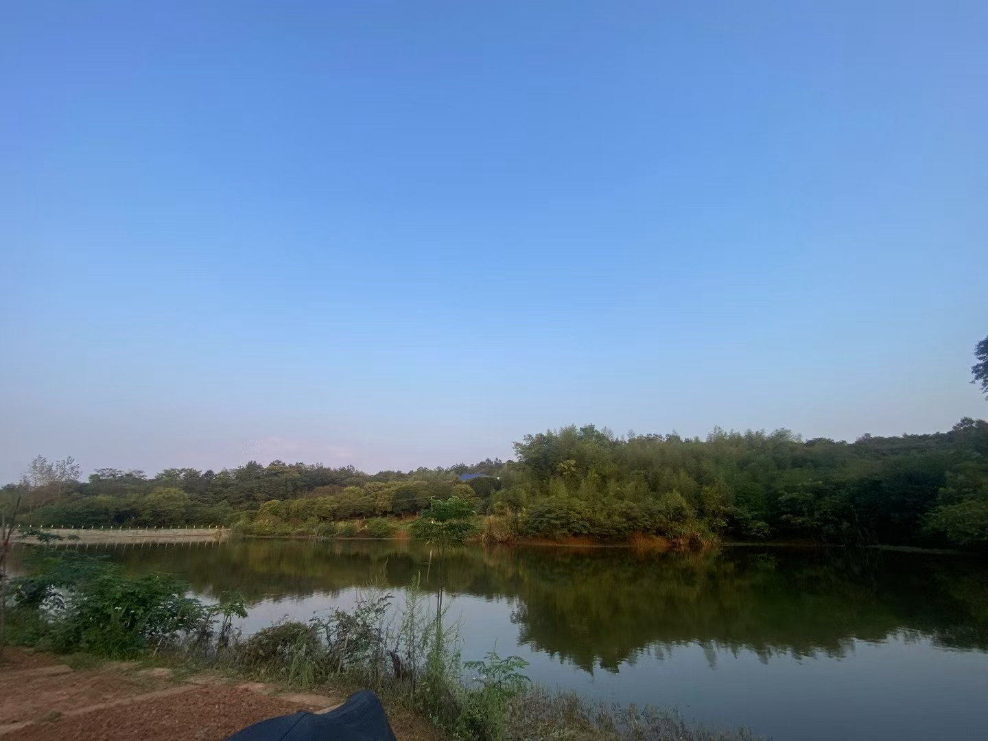 早安，友友们，又是呼吸新鲜空气的一天[春游家族] ​​​