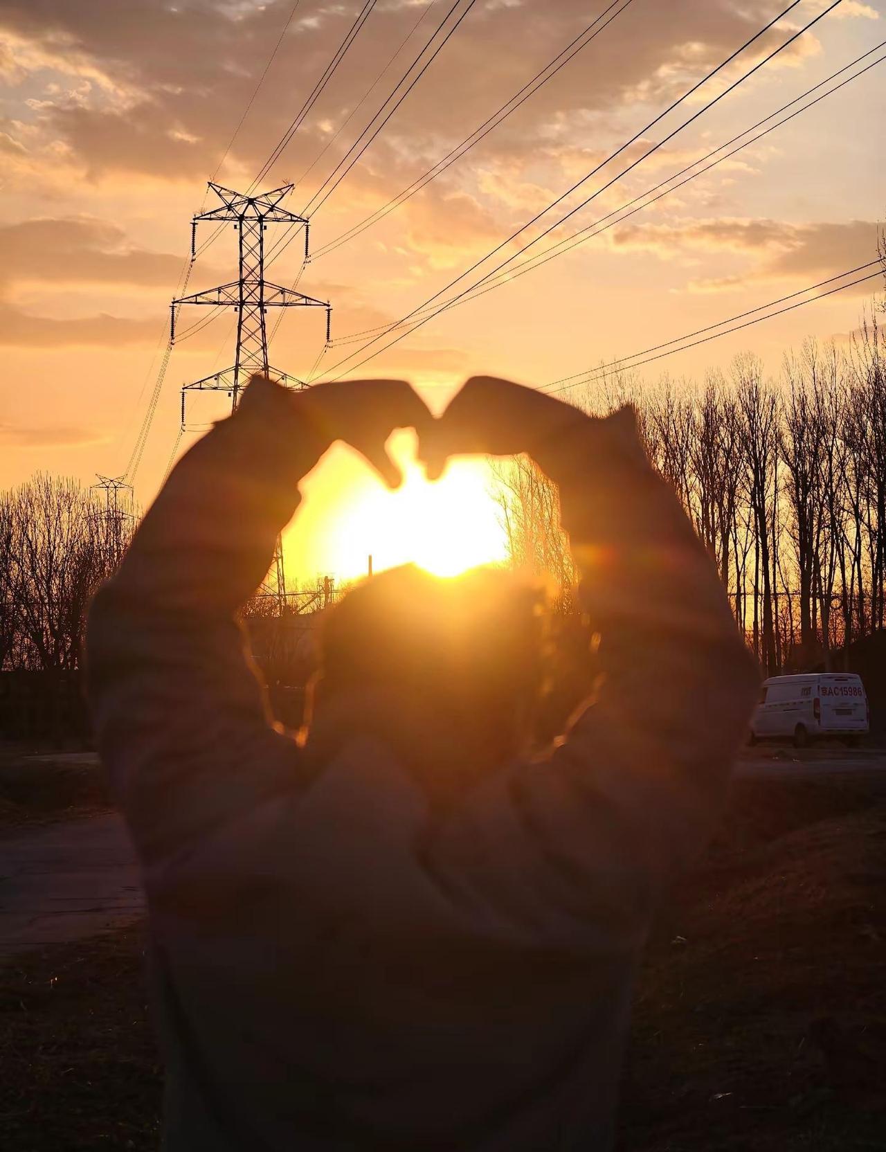 炮弹打不下春苗般的生机？世界和平