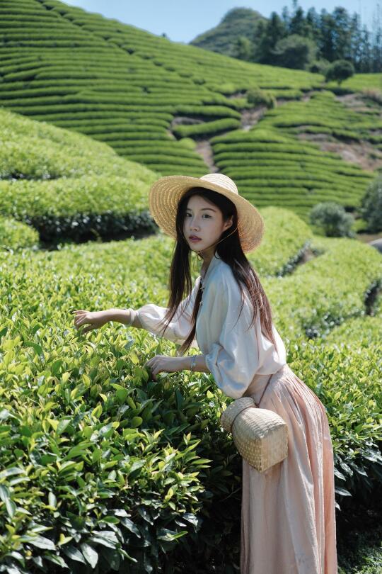 在夏日的武夷山与茶相伴，汲取天地间能量。