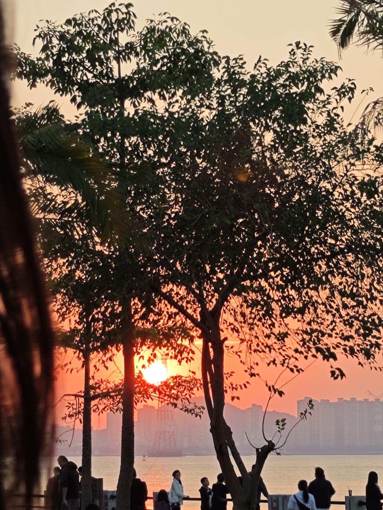 条友这一周  分享我这周有趣的事：这周我像个勤劳的小蚂蚁搬了家、整理房间，累得够